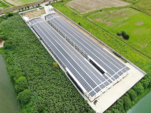 群策能源-台南新營雞畜牧場