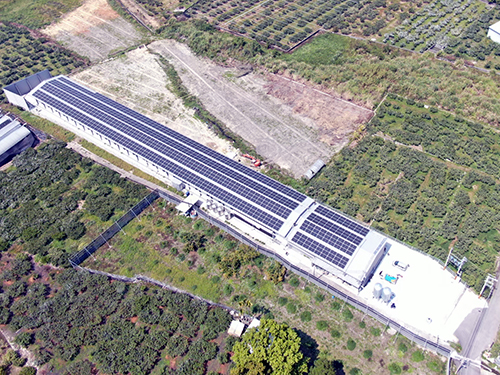 群策能源-苗栗卓蘭畜牧場